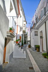 A street in the historic center of Castelsaraceno, a old town in the Basilicata region, Italy.	