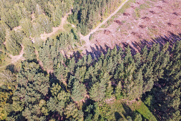 Fototapety na wymiar - Fototapeta24.pl