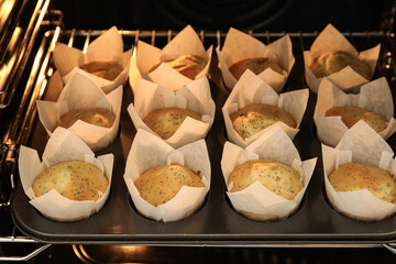 Baking tin with poppy seed muffins in oven