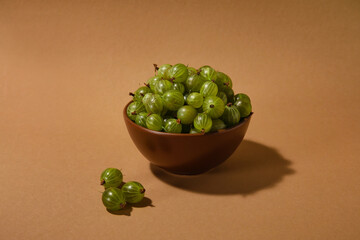 Bowl with fresh ripe gooseberry on color background
