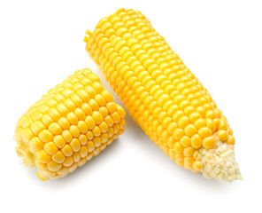 Fresh cut corn cobs on white background