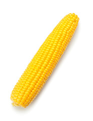 Fresh corn cob on white background