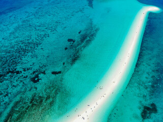 フィリピン、セブ島の近くのカランガマン島を晴れた日にドローンで撮影した空撮写真 Aerial photo of Kalanggaman Island near Cebu, Philippines, taken with a drone on a sunny day.