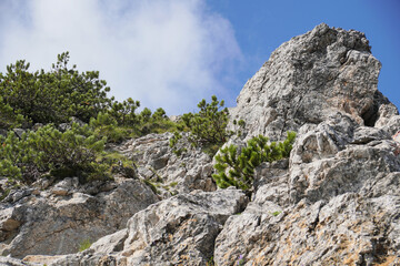 Wanderung auf den Mittagskogel: Über den Nordostgrat