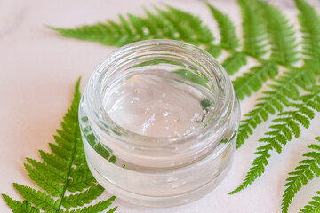 Jar of natural organic face planr based gel cream on fern leaves. Copy space for your cosmetics brand design