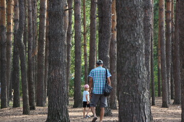 Obraz premium walking in the woods