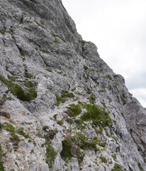 Anspruchsvolle Wanderung auf den Mittagskogel/Bärenkogel