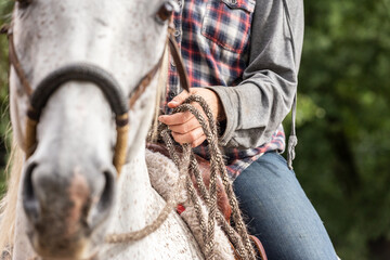 Close-up of a person´s hand holding reins