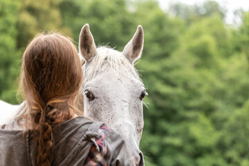 Portrait of a white arabian horse looking at its owner