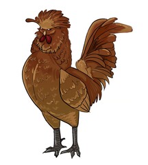 rooster