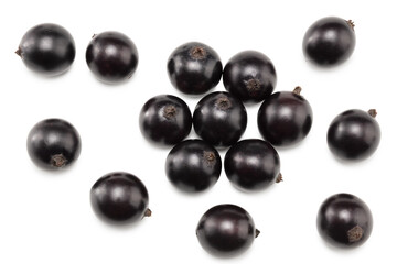 black currant isolated on white background. macro. clipping path. top view