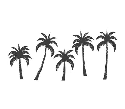palm tree set,  vector silhouette