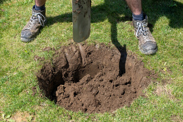 Gärtner gräbt ein Loch für einen Baum
