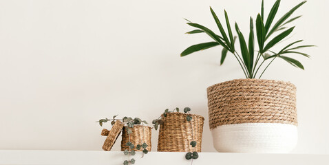 Indoor plants in creative planters on a shelf against a white wall.Home interior design.Biophillia design.Urban jungle.Selective focus, copy space.