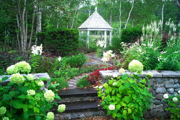 Obraz premium えこりん村の銀河庭園