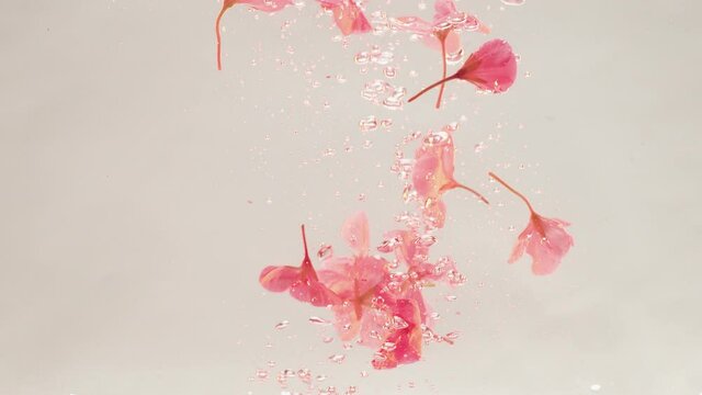 creative Beautiful yellow pink hibiscus flowers petals floating in the water