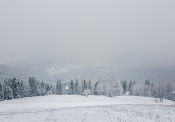Wonderful winter scene with snow falling. Bukovel ski resort in Ukrainian Carpathians. Snowy forest on the mountain hills. Foggy white woodland view, idyllic snowfall scene