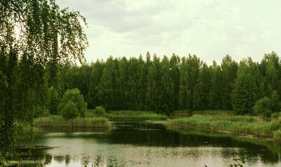 Fototapeta na wymiar Little lake in Noginsk area, Moscow oblast, Russia. Trees, ripples in water