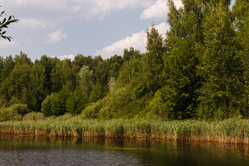 Fototapeta na wymiar Little lake in Noginsk area, Moscow oblast, Russia. Clouds in blue skye