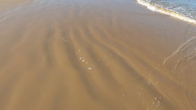Strolling along the Barrosa beach, in Sancti Petri, at low tide