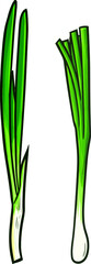 Two long leeks in simple cartoon style