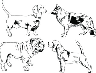 vector drawings sketches pedigree dogs and cats  drawn in ink by hand , objects with no background