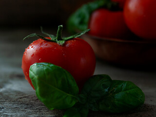 Ripe red tomatoes and green basil leaves close-up in water droplets, on a dark background