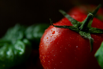 Ripe red tomatoes and green basil leaves close-up in water droplets, on a dark background