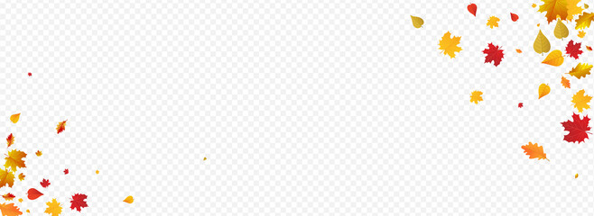 Yellow Floral Vector Panoramic Transparent