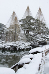 兼六園　雪つり　冬景色　雪　冬