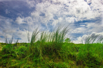 Obraz premium A natural green land under the cloudy sky. I captured this image on August-20-2021 from Bangladesh, South Asia