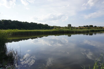 Obraz premium Summer landscape with small lake in forest Shinny sun reflected in the lake