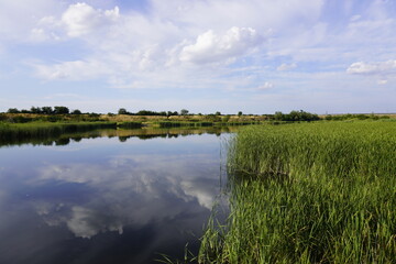 Summer landscape with small lake in forest Shinny sun reflected in the lake