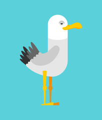 Gull cartoon isolated. seagull Sea bird vector illustration.