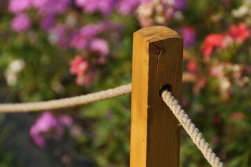 pink flowers on a wooden fence