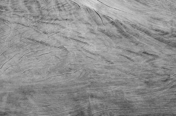 Gray wood texture. Abstract wood use as natural background surface with old natural pattern..