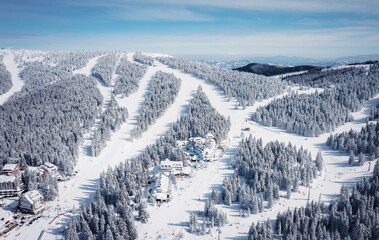 Panorama of the ski resort Kopaonik in Serbia. Kopaonik National Park, winter landscape in the mountains, coniferous forest covered with snow