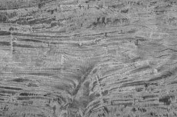 Gray wood texture. Abstract wood use as natural background surface with old natural pattern..