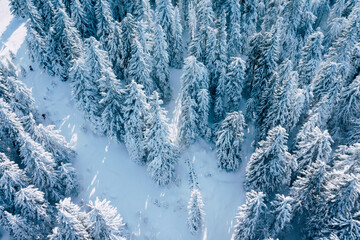 Aerial Winter Mountain landscape with coniferous forest covered with snow