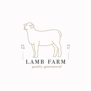 Vector design linear template logo or emblem - farm lamb. Abstract symbol for meat shop or butchery.