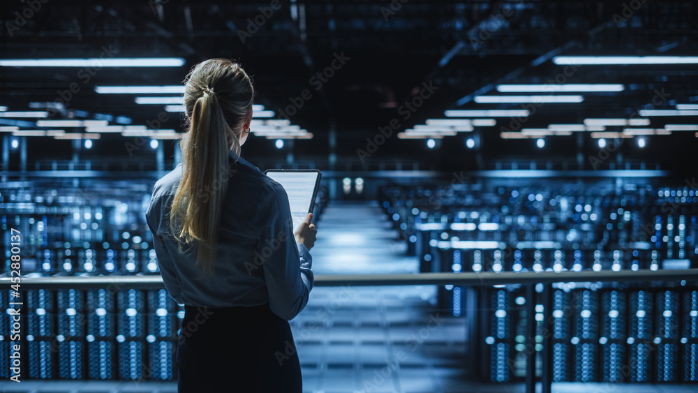 Leinwandbilder Data Center Female Programmer and Maintenance IT Specialist Overlooking Cloud Computing Server Farm. System Administrator Working on Cyber Security for Iaas, saas, paas. Back View Shot