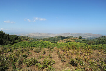Le nord de la plaine minoenne vue depuis le site antique de Lyctos en Cr&egrave;te