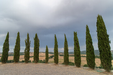 sunset at cypress hill tuscany Italy