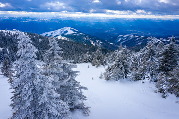 Fototapeta na wymiar Panorama of the ski resort Kopaonik in Serbia. Kopaonik National Park, winter landscape in the mountains, coniferous forest covered with snow