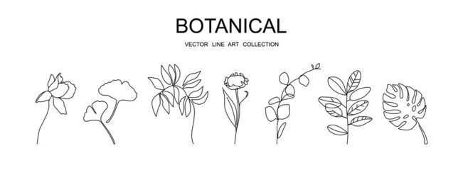 Botanical vector line art collection minimal botanical graphic sketch drawing, trendy tiny tattoo design, floral elements vector illustration
