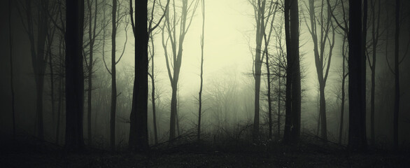 dark fantasy forest panorama