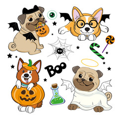 Halloween set with pug dogs in a pumpkin costume. Vector illustration isolated