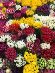 colorful flower background