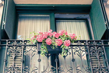 Fototapeta na wymiar hanging pink geranium in a balcony pot. Andalusian decoration
