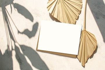 Dry palm leaves and blank greeting card mock up scene on a cement background and contrasting...